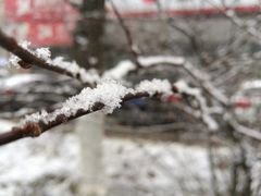 -金家休闲餐吧(金家小吃四店)