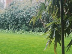 -老洋房花园饭店(绍兴路店)