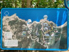 -广东惠东海龟国家级自然保护区