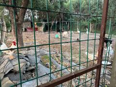 -呼吸森林·生态农庄农家乐私房菜