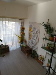 -蜜糖派儿童摄影(青建·太阳岛店)