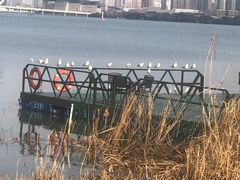 -宝界山林公园