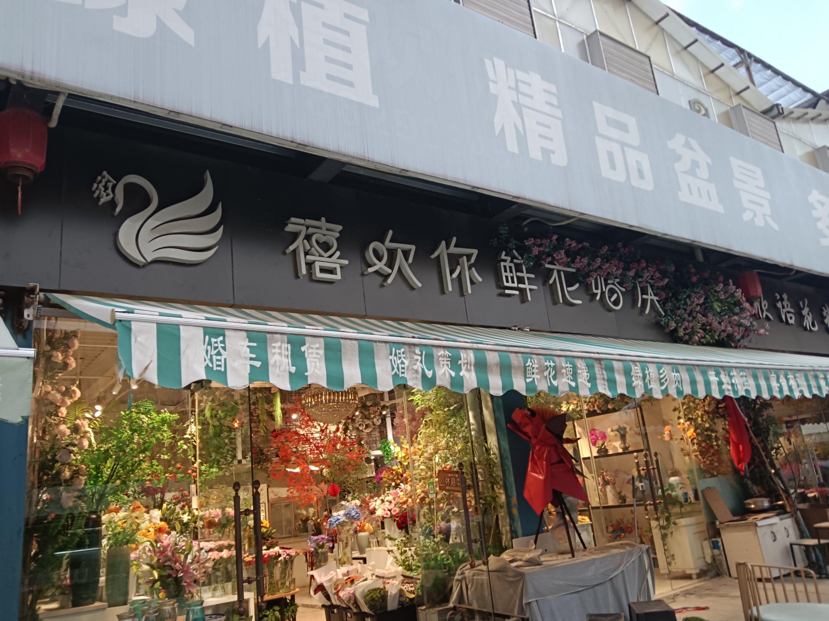0元玩转这座城明光路花卉市场里的花店