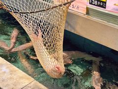 -金百门·顺德海鲜酒家(陈村店)