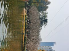 -晓港公园