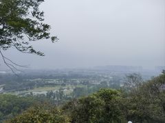 -广州莲花山旅游区