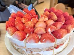 -O'eat Blossom&Pelican(深圳首店)