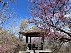 -封龙山风景区