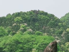 -龙坞茶村