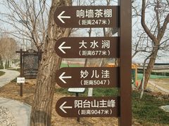 -阳台山自然风景区