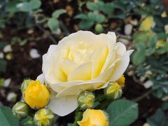 -人民公园(罗湖区)