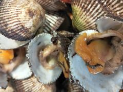 -鞍山大白鲨美食酒店