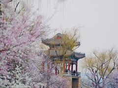 -颐和园