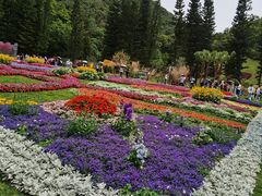 -深圳仙湖植物园