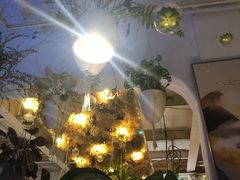 -春树下·树屋花房西餐厅(罍街AS1980店)