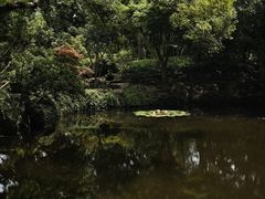 -秋霞圃