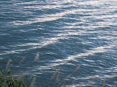 -艾溪湖湿地公园