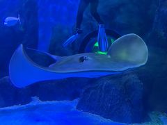-常州海昌海洋探索馆