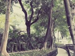 -香港佐治五世纪念公园