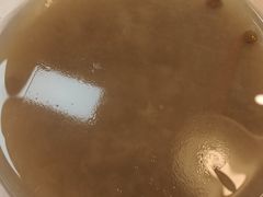 -卓雅桂林米粉