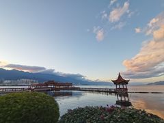 -洱海月湿地公园