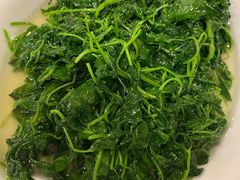 清炒豆苗-翠亭酒家(山西南路店)