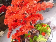 -红辣椒·川菜·火锅(张杨路店)