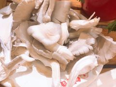 平菇-锅首鲜品火锅(鸳鸯店)