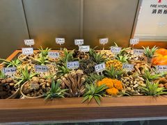 -滇铺子·云南特色菜·鲜花野菜季(东风东路c86店)