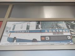 -北京大学肿瘤医院