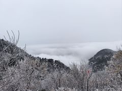 -泰山风景名胜区