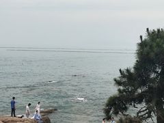 -青岛第二海水浴场