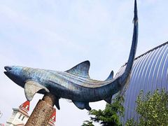 -烟台海昌鲸鲨海洋公园