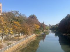 -新江湾城公园