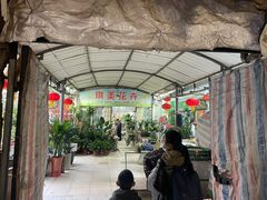 -武汉花鸟市场