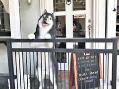 -TrueLove @ Neverland (Husky Cafe)