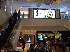 -新罗免税店(首尔总店)