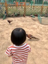 -萌宠亲子动物乐园(槐房万达店)