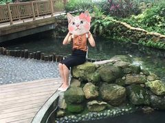 -香港大学