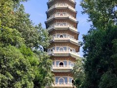 -灵谷景区