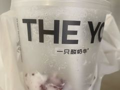 -一只酸奶牛(八一路店)