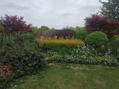 -新江湾城公园