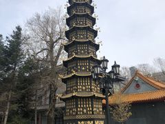 -哈尔滨极乐寺