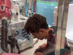 -FAELING PETS美天灵宠物(合生汇店)