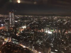 -东京都厅舍