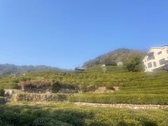 -中国茶叶博物馆(双峰馆区)