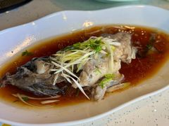 石斑鱼活捞清蒸-巧克力渔家.小船海鲜胶东菜(万平口店)