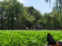 -四川大学(望江校区)