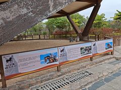 -珠海海泉湾神秘岛亲子乐园