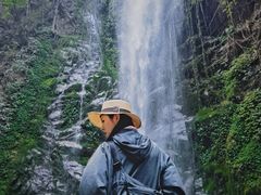 -莫里热带雨林景区